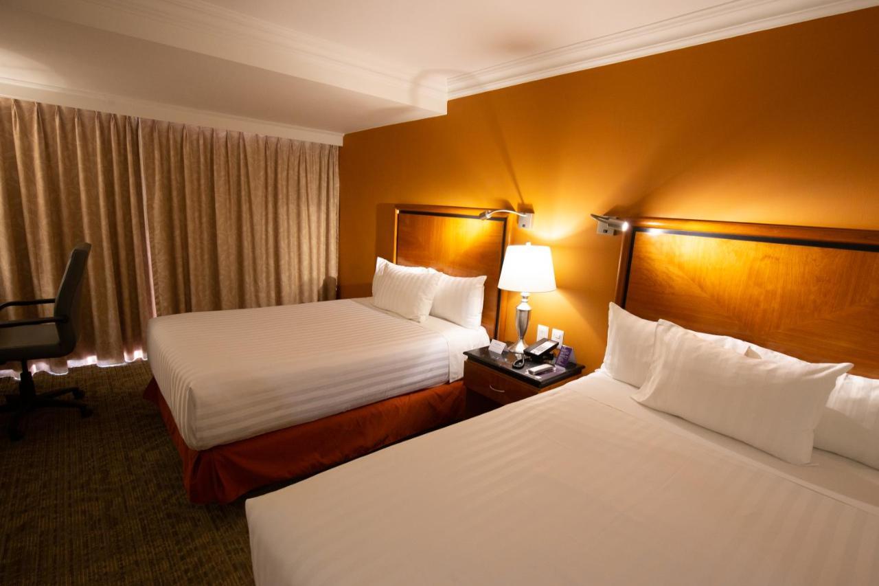 HS HOTSSON Hotel Tampico Exterior foto